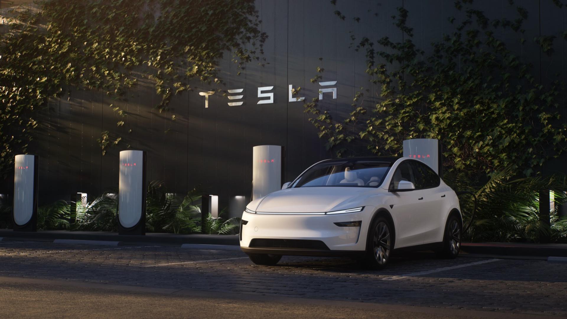 2025 Tesla Model Y Long Range AWD - New Electric SUV